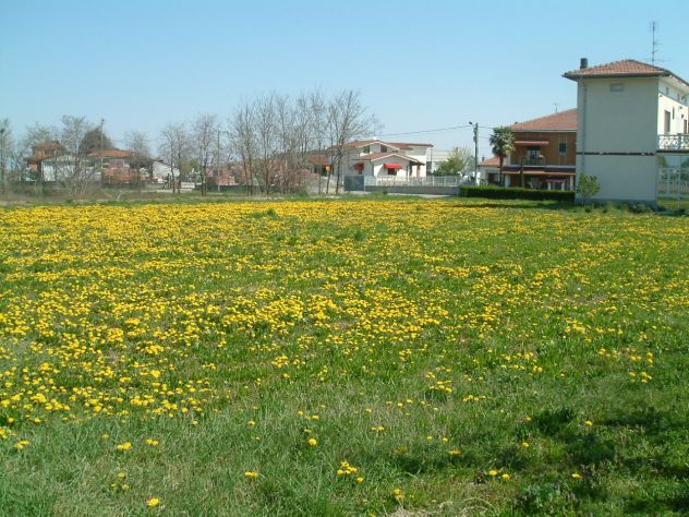 terreno agricolo in vendita a Cigliano