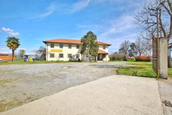 negozio in vendita a Cigliano in zona Olmetto