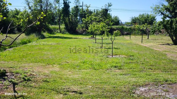 esavano in vendita a Crescentino