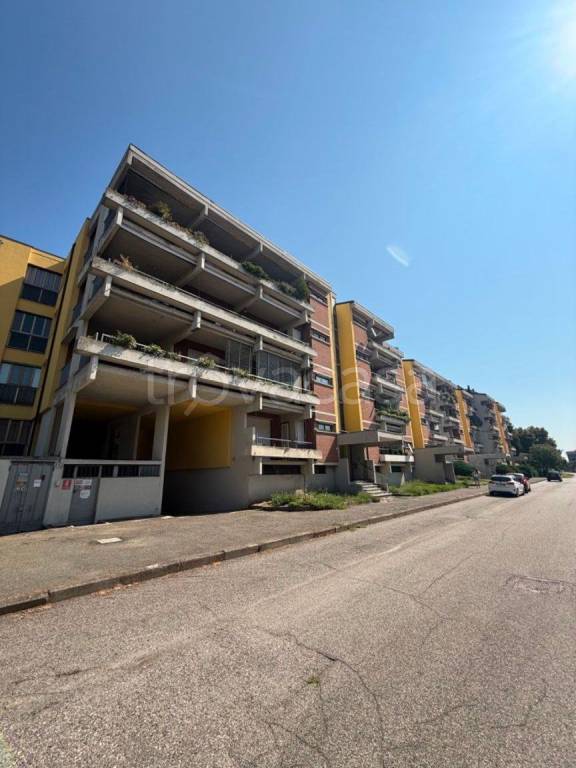 immagine annuncio 0 di 15