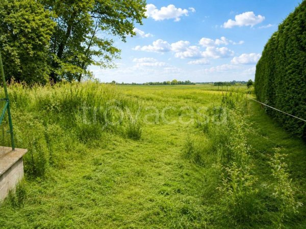 terreno agricolo in vendita a Desana