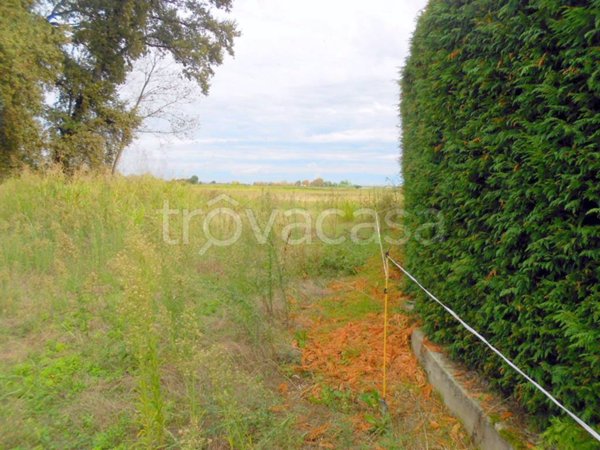 casa indipendente in vendita a Desana