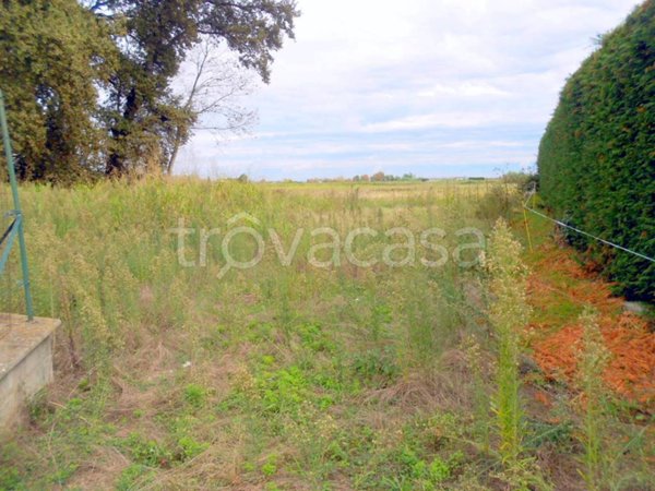 terreno agricolo in vendita a Desana