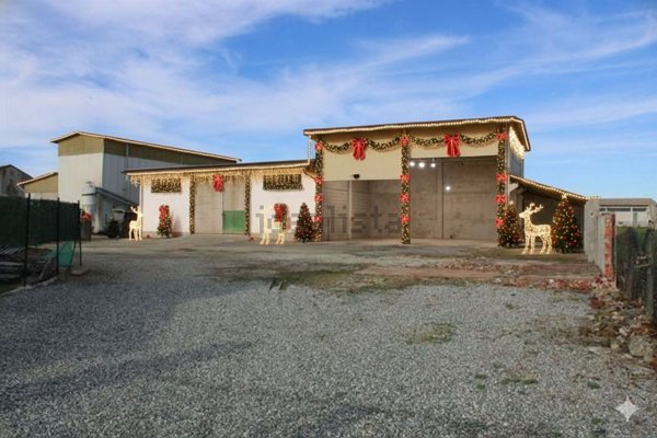 immagine annuncio 0 di 1