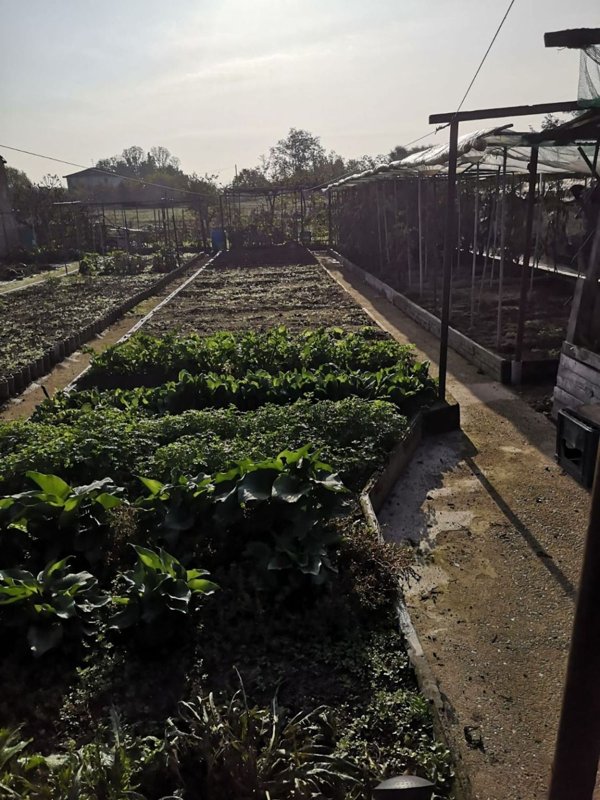 appartamento in vendita a Formigliana