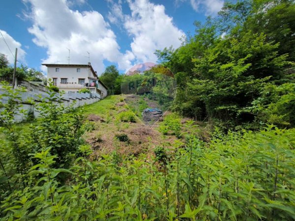 terreno agricolo in vendita a Gattinara