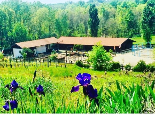 casa indipendente in vendita a Gattinara