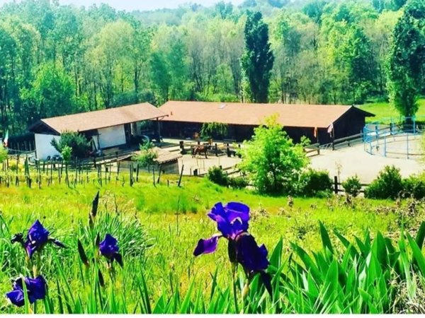 casa indipendente in vendita a Gattinara