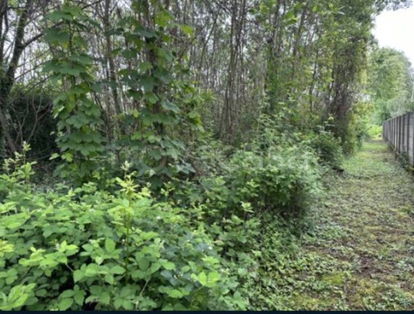 terreno agricolo in vendita a Gattinara