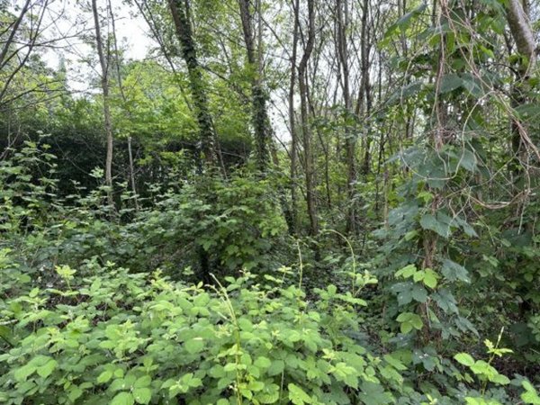 appartamento in vendita a Gattinara