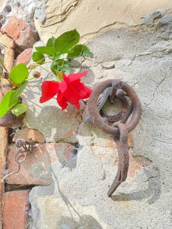 casa indipendente in vendita ad Agazzano