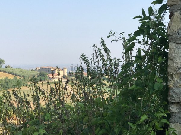 esavano in vendita ad Agazzano