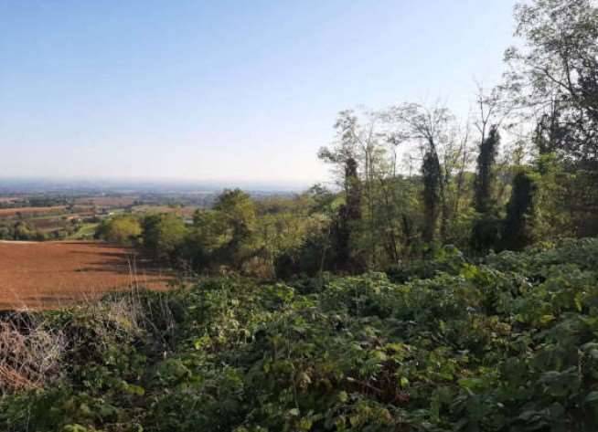 terreno edificabile in vendita ad Agazzano