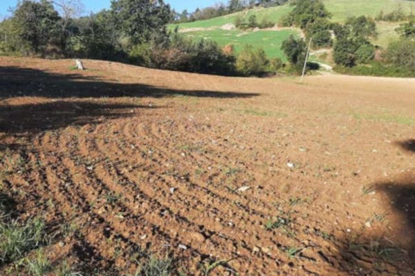 terreno agricolo in vendita ad Agazzano