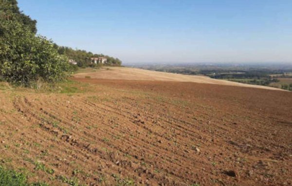 terreno agricolo in vendita ad Agazzano