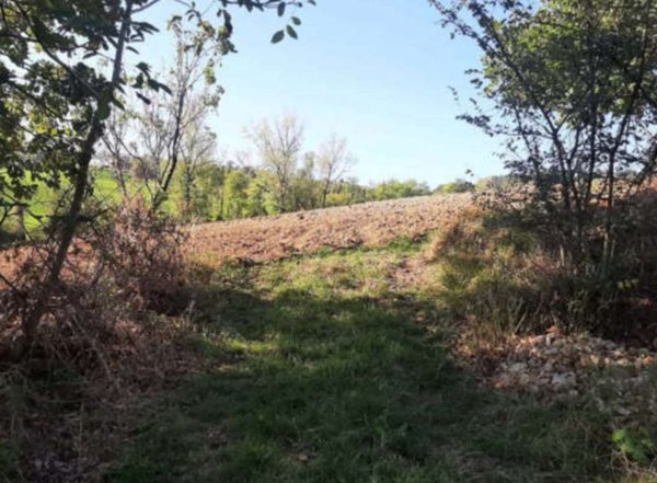 terreno agricolo in vendita ad Agazzano