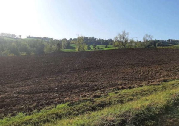 terreno agricolo in vendita ad Agazzano