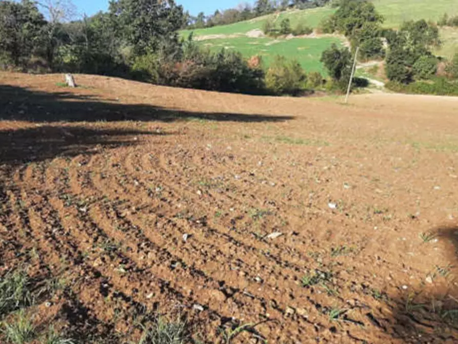 terreno agricolo in vendita ad Agazzano