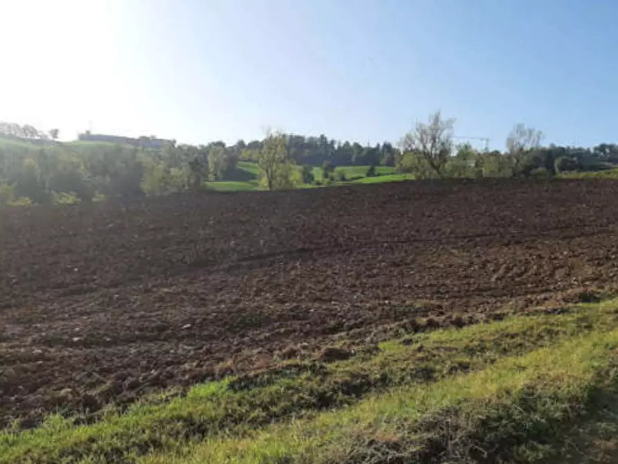 terreno agricolo in vendita ad Agazzano