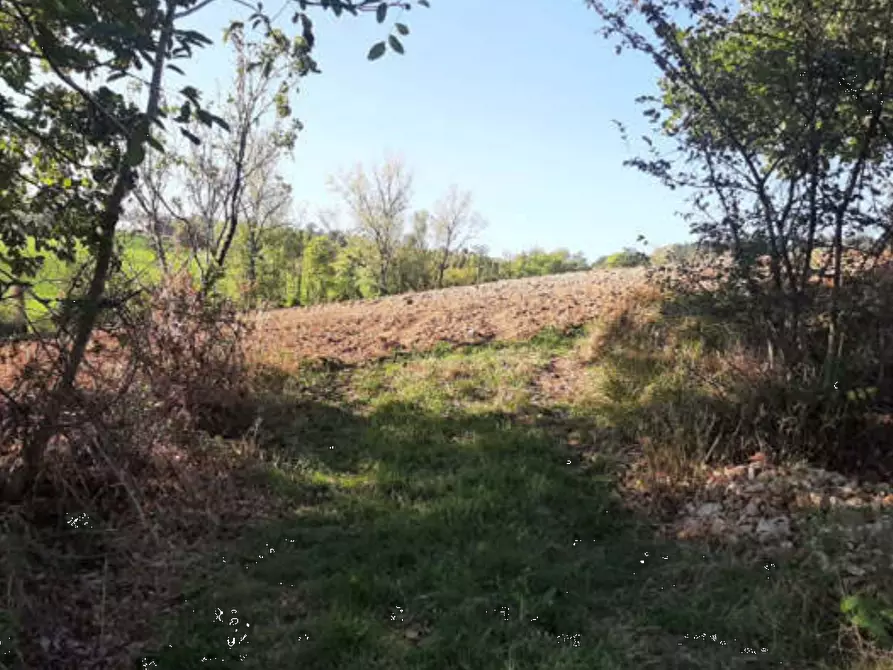 terreno agricolo in vendita ad Agazzano