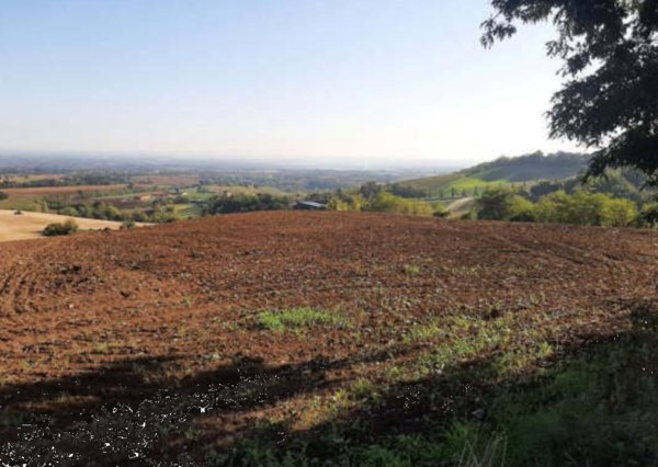 terreno agricolo in vendita ad Agazzano