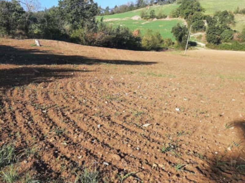 terreno agricolo in vendita ad Agazzano
