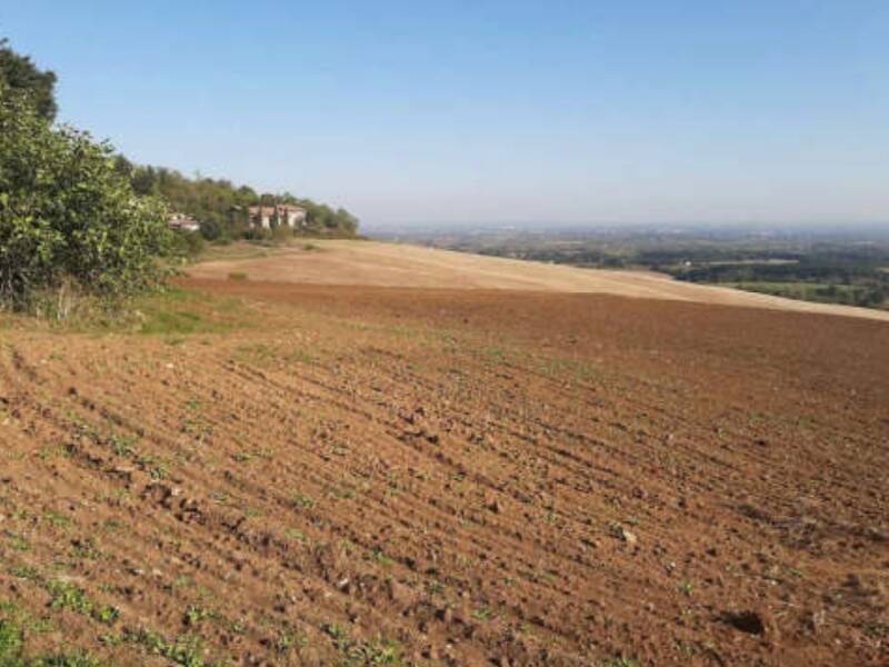 terreno agricolo in vendita ad Agazzano