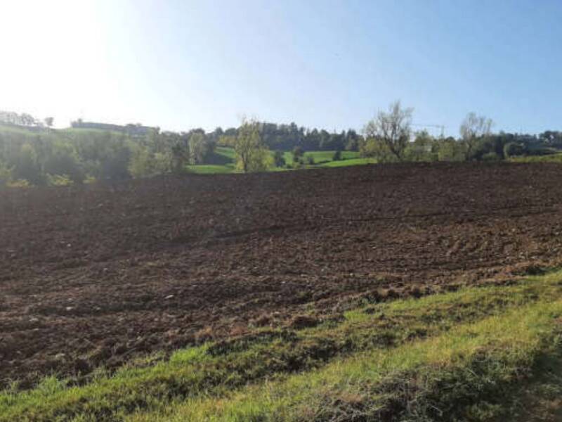 terreno agricolo in vendita ad Agazzano