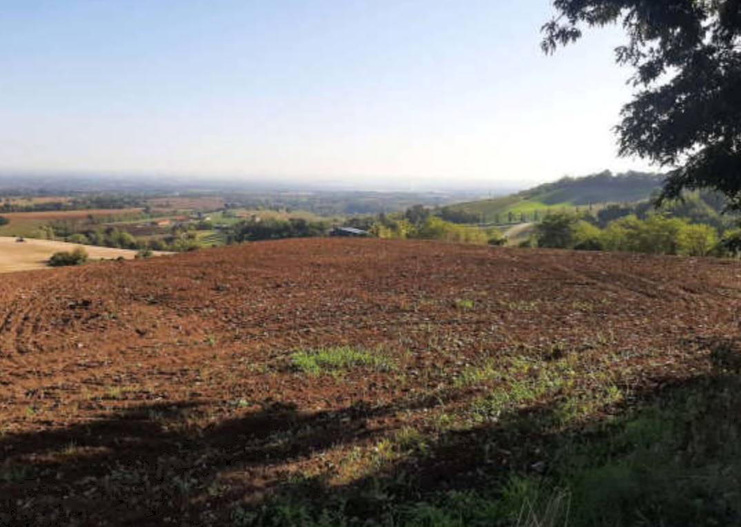 terreno agricolo in vendita ad Agazzano