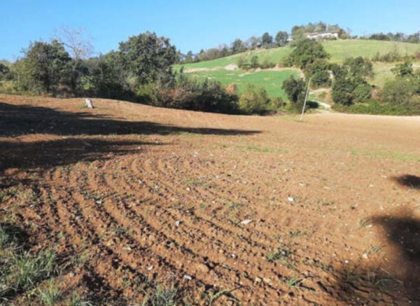 terreno agricolo in vendita ad Agazzano