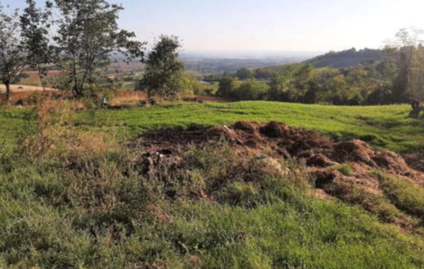 terreno agricolo in vendita ad Agazzano