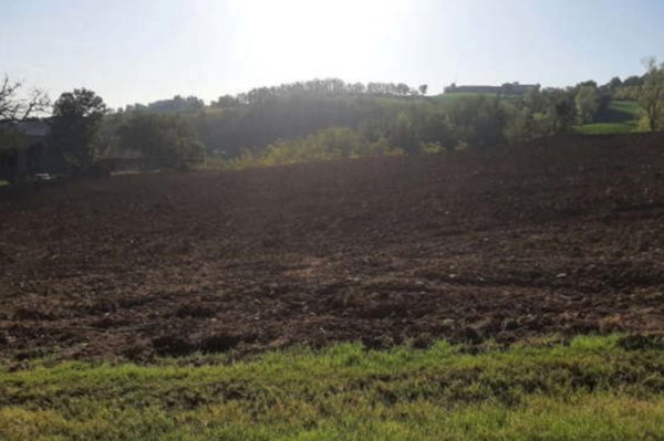 terreno agricolo in vendita ad Agazzano