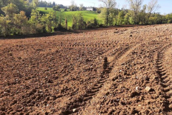 terreno agricolo in vendita ad Agazzano