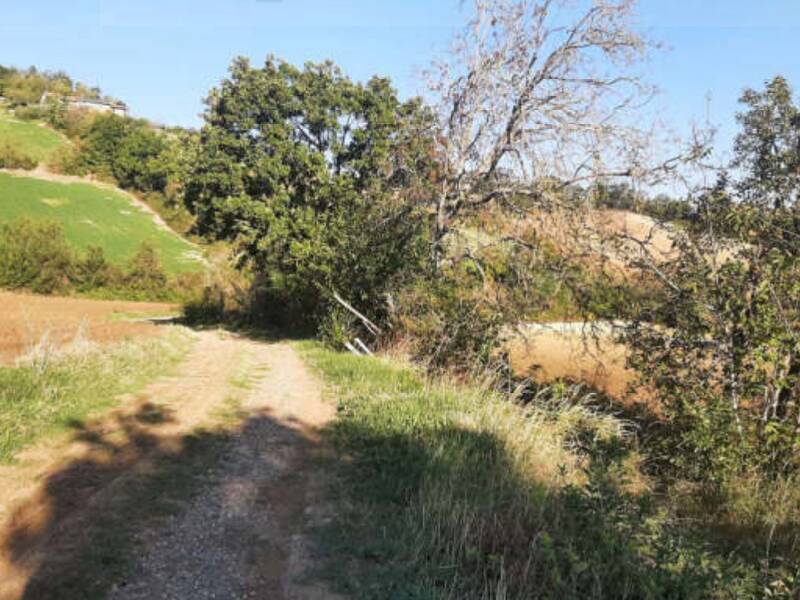 terreno agricolo in vendita ad Agazzano