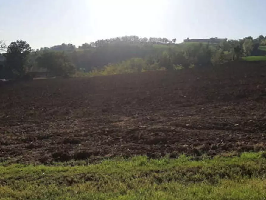 terreno agricolo in vendita ad Agazzano