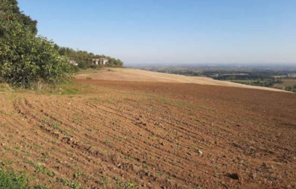 terreno agricolo in vendita ad Agazzano