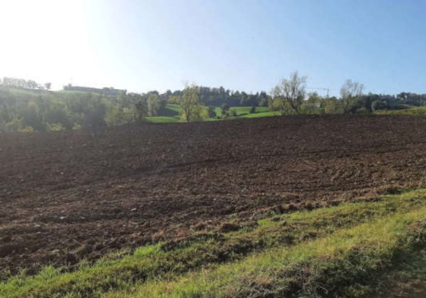 terreno agricolo in vendita ad Agazzano
