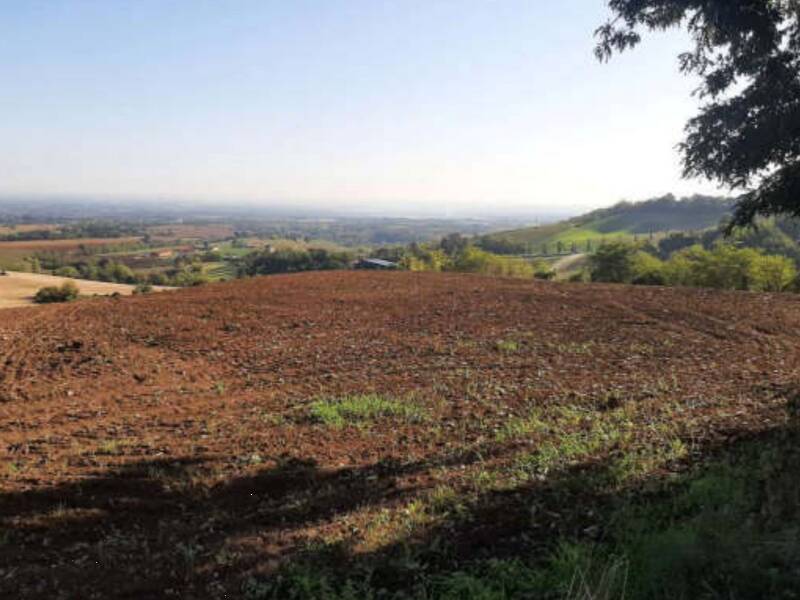 terreno agricolo in vendita ad Agazzano