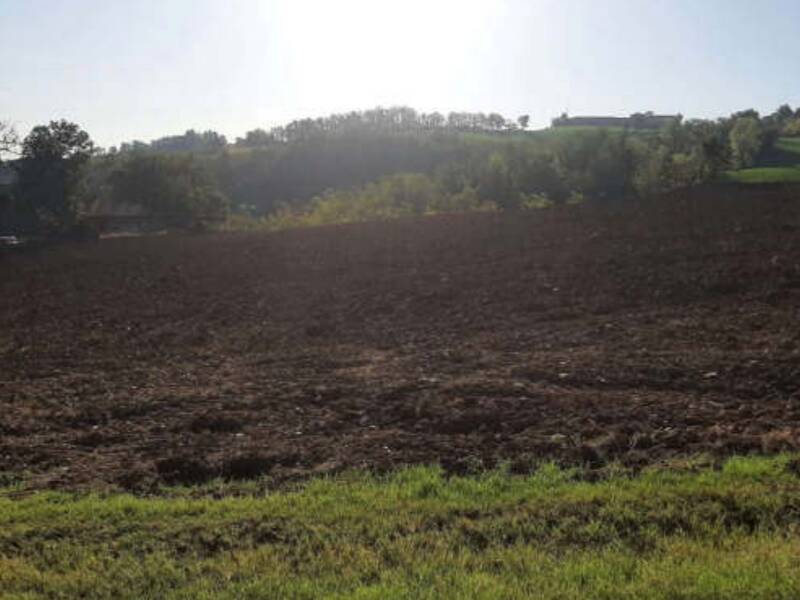 terreno agricolo in vendita ad Agazzano