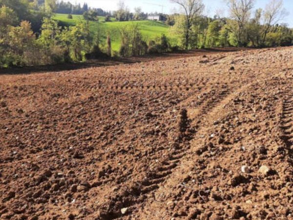 terreno agricolo in vendita ad Agazzano