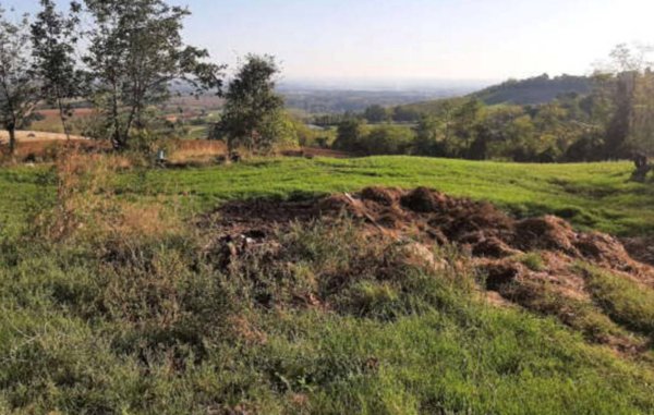 terreno agricolo in vendita ad Agazzano
