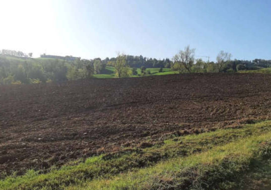 terreno agricolo in vendita ad Agazzano