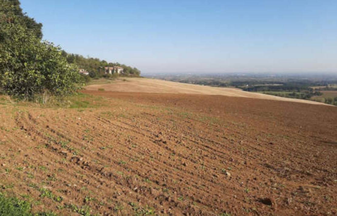 terreno agricolo in vendita ad Agazzano