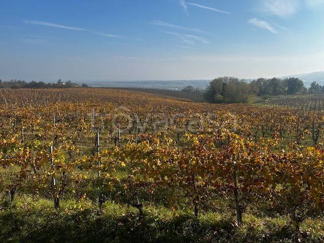 azienda agricola in vendita ad Agazzano