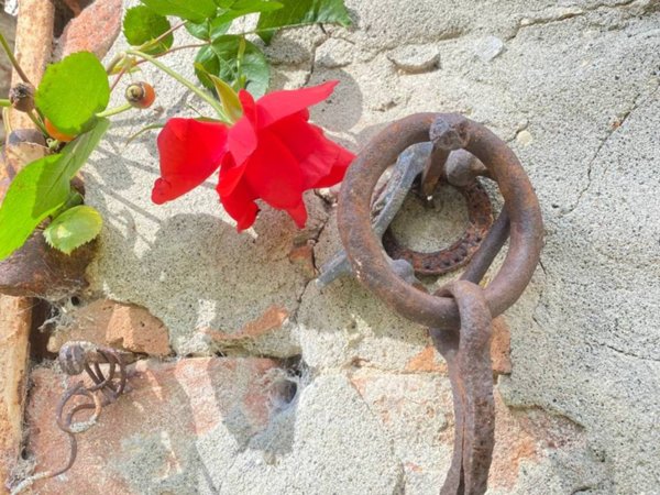 casa indipendente in vendita ad Agazzano