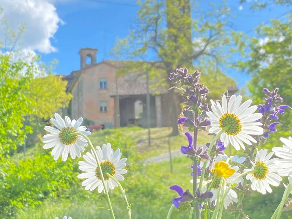 casa indipendente in vendita ad Agazzano