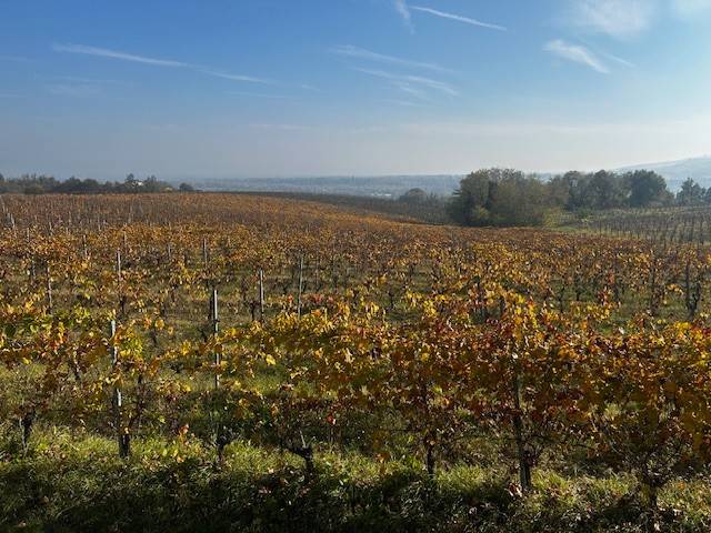 negozio in vendita ad Agazzano