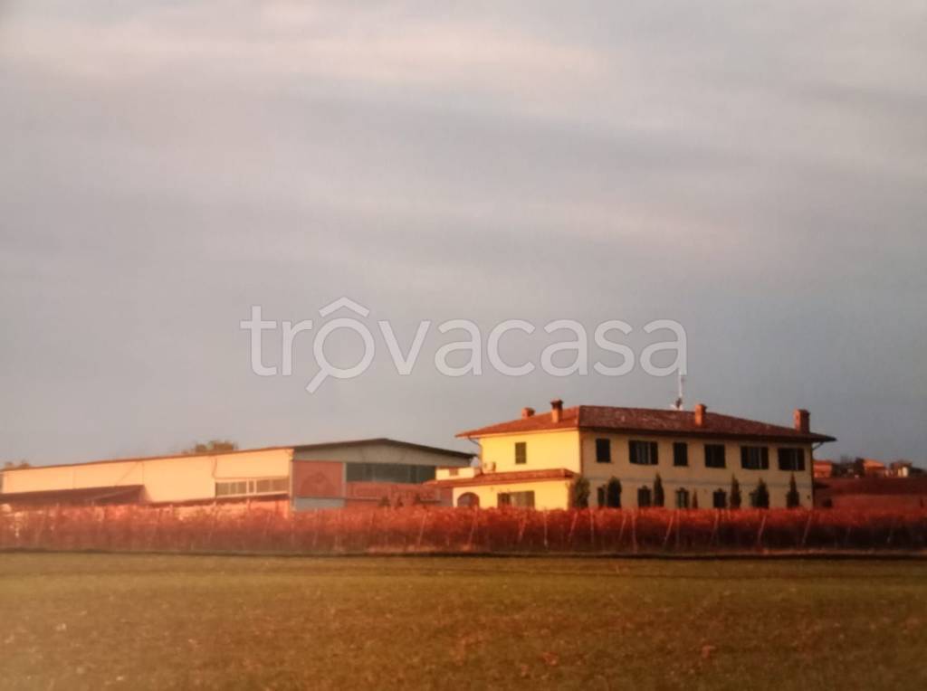 immagine annuncio 0 di 10