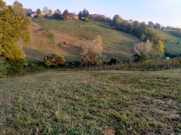 appartamento in vendita ad Alseno