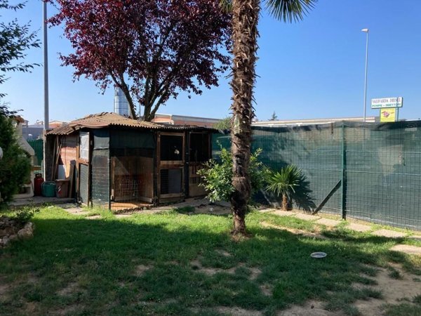 appartamento in vendita ad Alseno